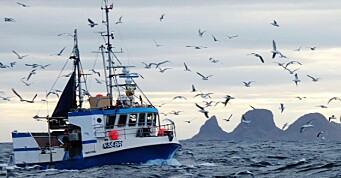 Fiskarlaget med høringsinnspill: – Ikke konkludert om hjemfall av kvoter
