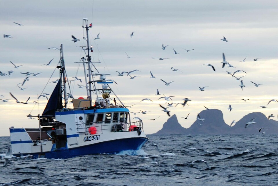 Norges Fiskarlag uttrykker i brev til Finanskomiteen skuffelse over at regjeringen ikke kom med tiltak for å avhjelpe situasjonen med høye drivstoffpriser i fiskeflåten i forslaget til revidert nasjonalbudsjett. Det påpeker leder Kåre Heggebø i Norges Fiskarlag. (Foto: Terje Støen)