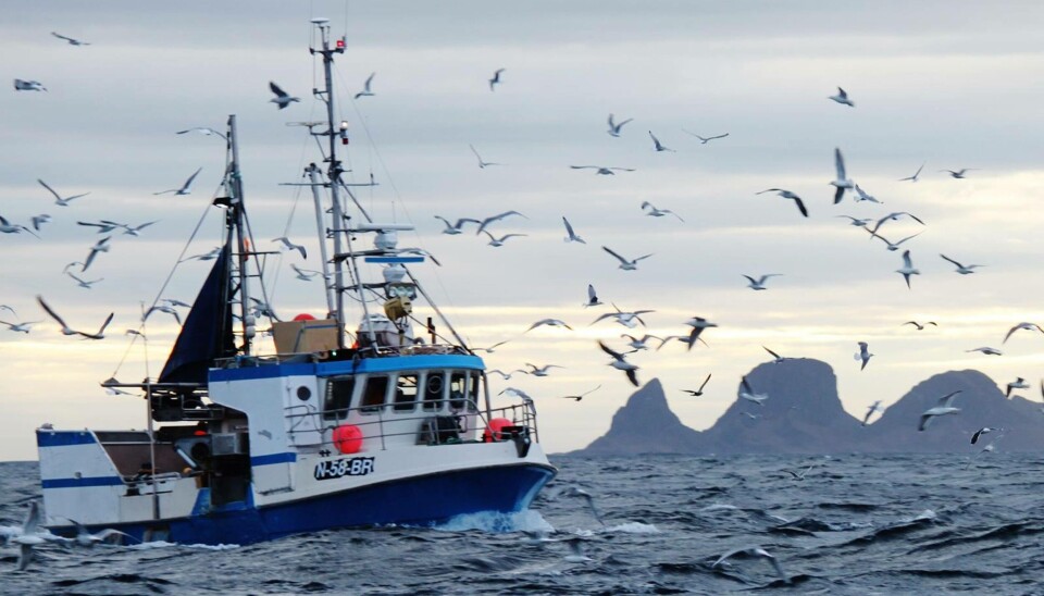 VIL HA LIKE RAMMEBETINGELSER: – Norges Fiskarlag ønsker at også den minste flåtegruppen skal gis like rammebetingelser som resten av fiskeflåten, og Fiskarlaget vurderer det som helt nødvendig å få avklart hva som skje med denne flåtegruppa når samfiskeordningen opphører, skriver de i sitt høringsinnspill Bilde for illustrasjon. VIL HA LIKE RAMMEBETINGELSER: – Norges Fiskarlag ønsker at også den minste flåtegruppen skal gis like rammebetingelser som resten av fiskeflåten, og Fiskarlaget vurderer det som helt nødvendig å få avklart hva som skje med denne flåtegruppa når samfiskeordningen opphører, skriver de i sitt høringsinnspill Bilde for illustrasjon.