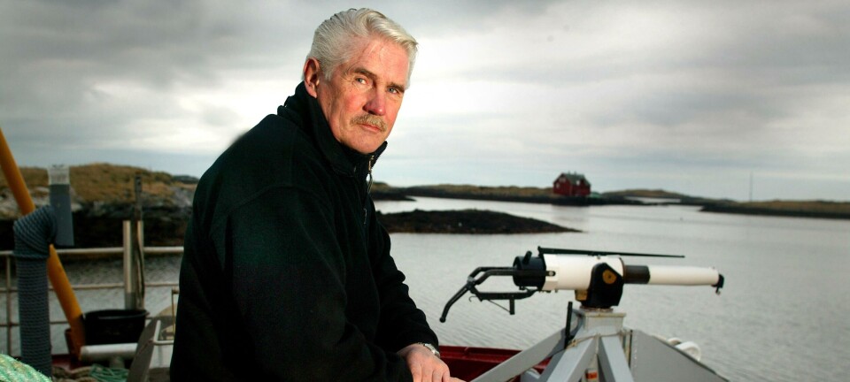 Rekordfangst av kval i år tross dårlig vær