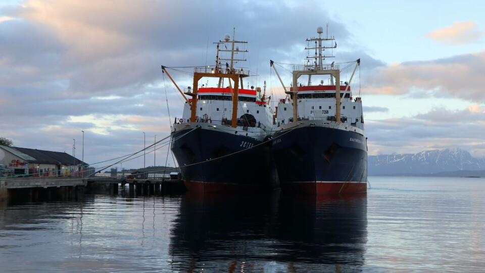 De russiske trålerne «Baltiyskaya Koso» og «Ester» ved kai i Harstad. Foto: Alf Fagerheim