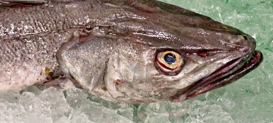 Prinsessen valgte seg lysing til 18-årsdagen