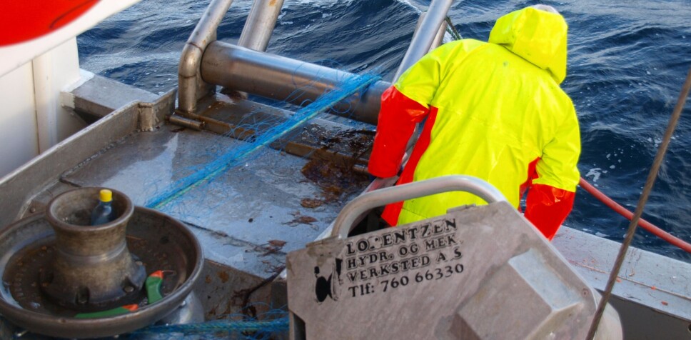 Første periode av blåkveitefiske ble avsluttet sist lørdag. Foto: Alf Fagerheim