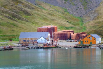 Norge har en lang historie i forbindelse med utnyttelse av marine ressurser i Antarktis. Dette bildet er fra hvalfangststasjonen Grytviken på South Georgia. Foto Alexander Ogurtsov, Dreamstime