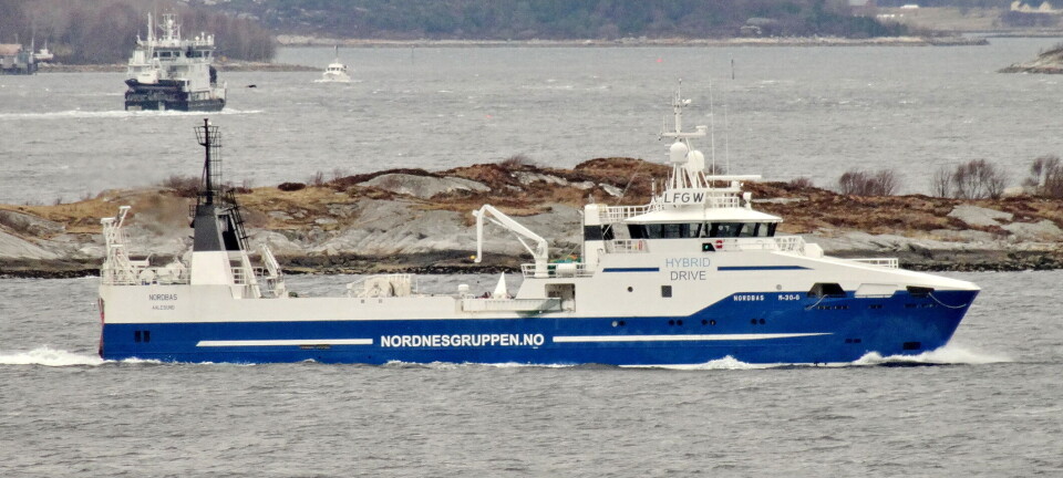 Mot rekordår i raudåtefisket