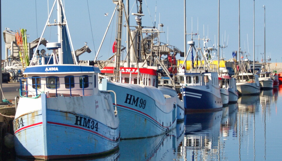 DANMARK: Dansk fiskerinæring er fornøyd med at avtalen med EU og Norge er på plass, selv om innholdet kunne vært bedre for danske fiskere.
