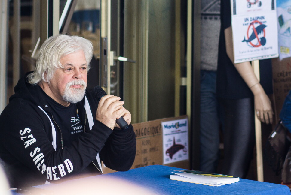 SAMARBEID: Er Norge klar for å etablere et samarbeid med Paul Watson og hans organisasjon Sea shepherd?
