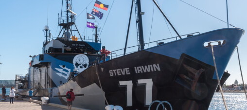 – Sea Shepherd bør forsynes med satellittdata av Norge
