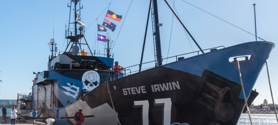 Sea Shepherd bør forsynes med satellittdata av Norge