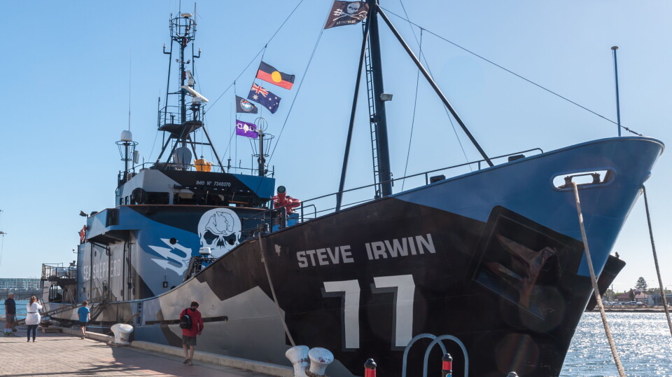 SATELITTDATA: Tidligere Sea Shepherd-aktivist Rolf Henning Larsen foreslå at Norge skal forsyne Sea Shepherd med satellitdata. SATELITTDATA: Tidligere Sea Shepherd-aktivist Rolf Henning Larsen foreslå at Norge skal forsyne Sea Shepherd med satellitdata.