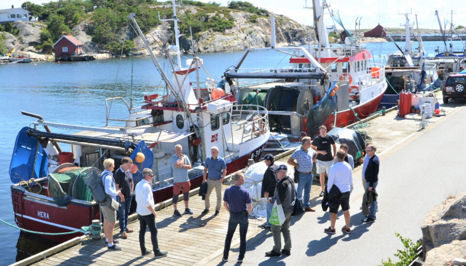 REKETRÅLERE: Det ble også tid til en spasertur og prat langs kaia der den lokale flåten av reketrålere dominerer.