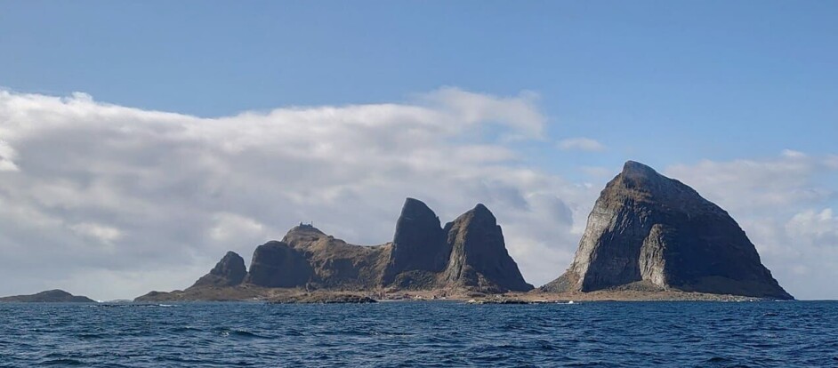 STARTER OPP: I løpet av de neste ukene åpner det nye hvitfiskmottaket på Træna, i lokalene til gamle Træna Seafood, tidligere Modolv Sjøset.