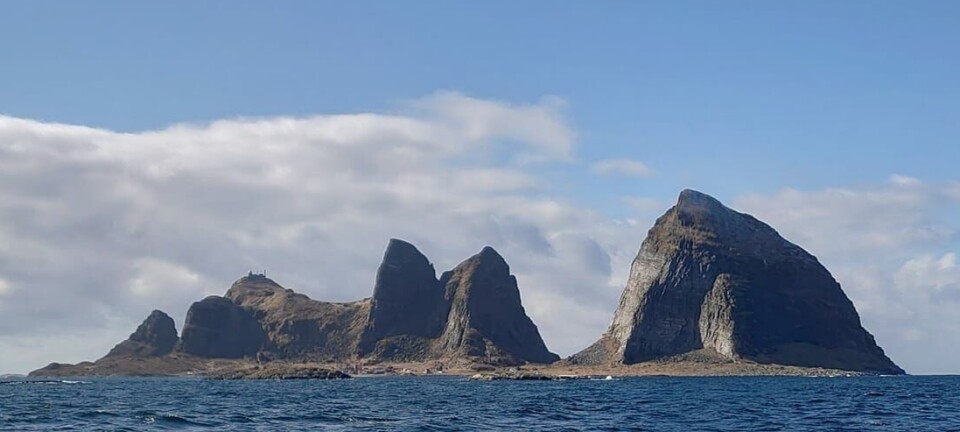 Gjenåpner hvitfiskmottaket i neste måned: – Det har vært en fantastisk dugnad