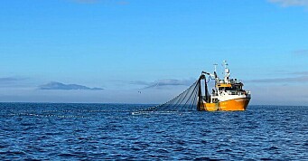 Fiskets gang: Noe sild og makrell landes