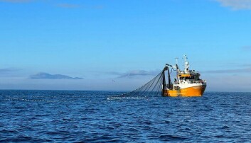 Fiskets gang: Noe sild og makrell landes