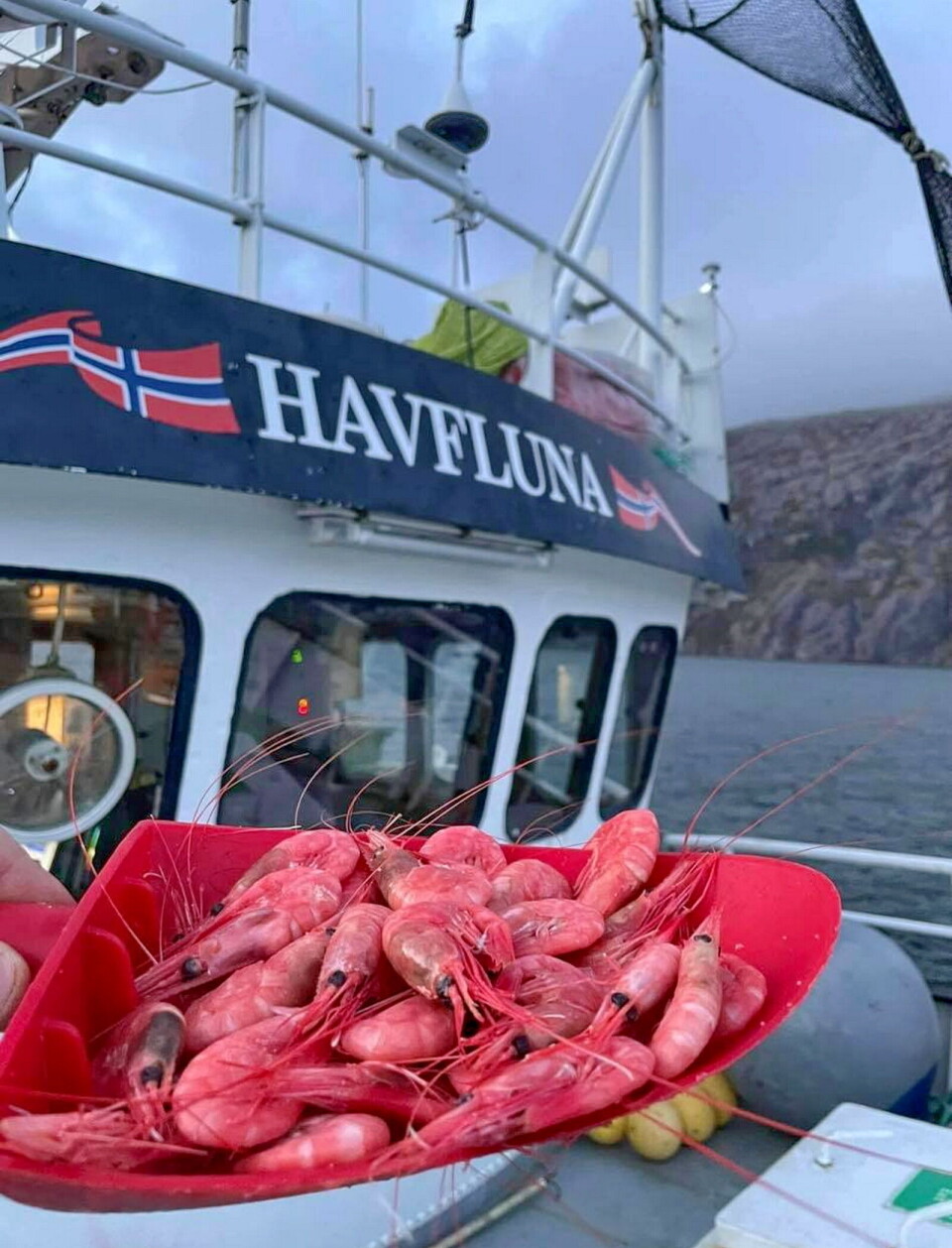 «Havfluna» trenger skipper for å kunne drive mer kontinuerlig. «Havfluna» trenger skipper for å kunne drive mer kontinuerlig.