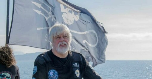 Paul Watson sier opp i Sea Shepherd i protest etter å ha blitt fjernet fra styret