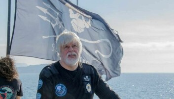 Paul Watson sier opp i Sea Shepherd i protest etter å ha blitt fjernet fra styret