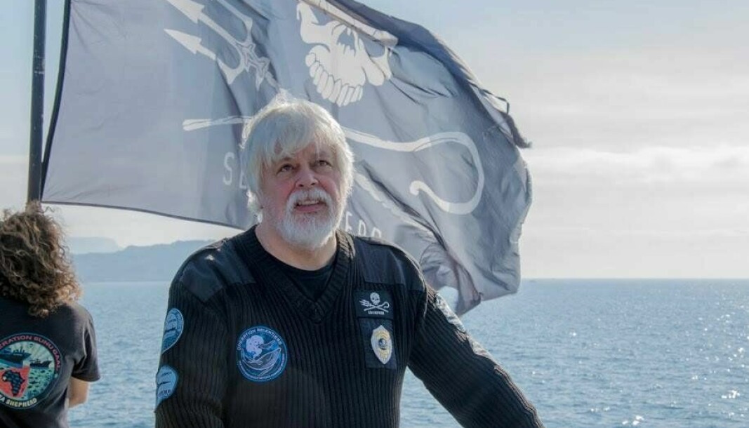 SLUTTER I PROTEST: Paul Watson melder at han slutter i protest i organisasjonen Sea Shepherd. Årsaken er at han mener at det nåværende styret ønsker å vri aktiviteten i organisasjonen over fra militante aksjoner til forskning på livet i havet.