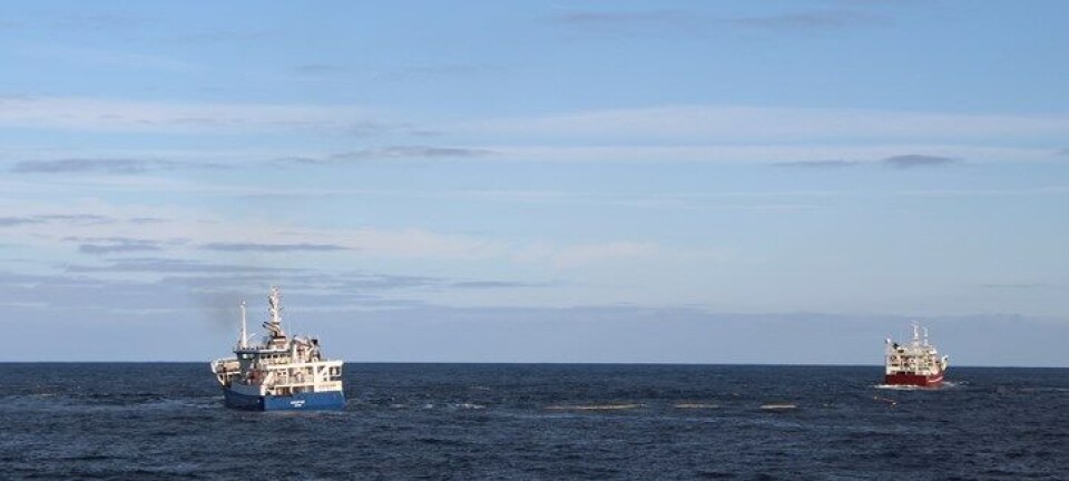 Fortsatt stor aktivitet i makrellfisket