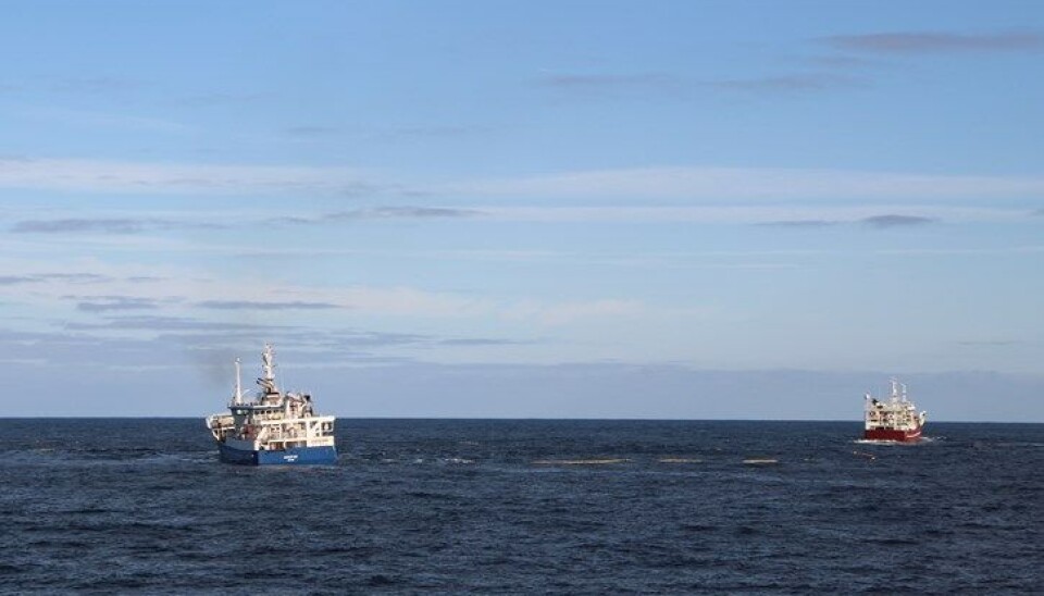 LETER: Makrellfisket foregår hovedsaklig langs kysten for tiden, mens havflåten må lete mer. LETER: Makrellfisket foregår hovedsaklig langs kysten for tiden, mens havflåten må lete mer.