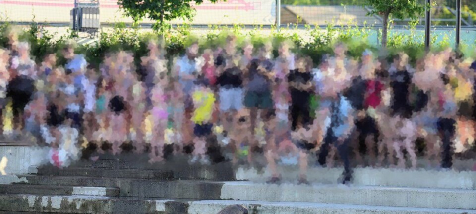 Kvalrossen «Freya» avlivet i helga