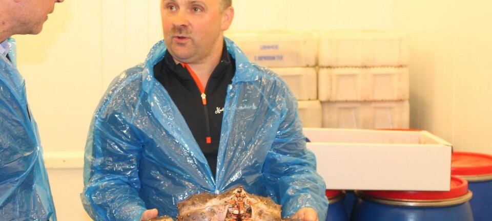 Karls Fisk og Skalldyr: Omsetning på det jevne