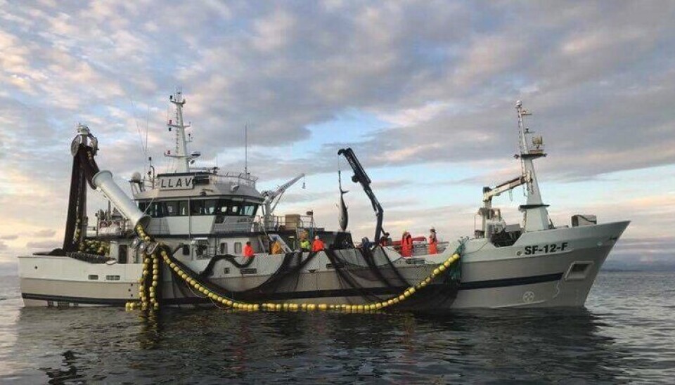 FISKETS GANG: Nå satser Sildesalgslaget på at fullmånen skal hjelpe fiskerne som jakter på nordsjøsilda. På makrellen er det godt fiske, men kun i nord. Bilde for illustrasjon. FISKETS GANG: Nå satser Sildesalgslaget på at fullmånen skal hjelpe fiskerne som jakter på nordsjøsilda. På makrellen er det godt fiske, men kun i nord. Bilde for illustrasjon.