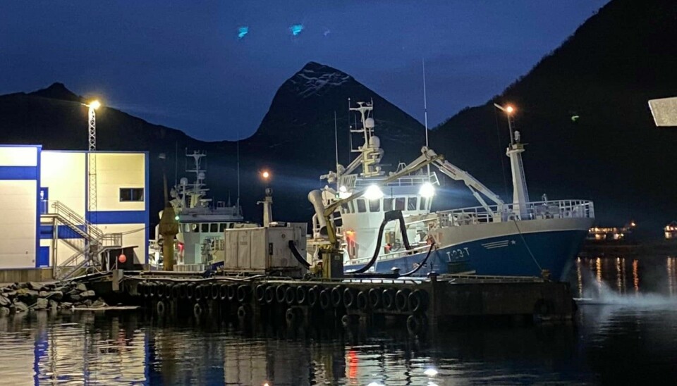 NERGÅRD FISK har anlegg i Gryllefjord, Senjahopen og Grunnfarnes på Senja.