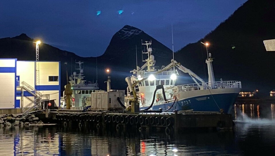 NERGÅRD FISK har anlegg i Gryllefjord, Senjahopen og Grunnfarnes på Senja. NERGÅRD FISK har anlegg i Gryllefjord, Senjahopen og Grunnfarnes på Senja.