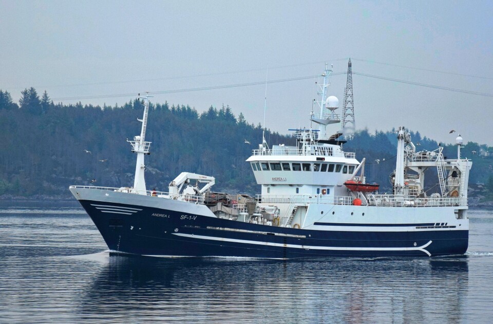 «Andrea L» meldte inn årets første fangst med konsumlodde. Den ble ikke solgt. Foto Magnar Lyngstad