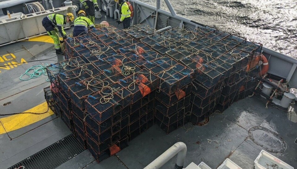 OVER 300 teiner ble beslaglagt av Kystvakten nylig.