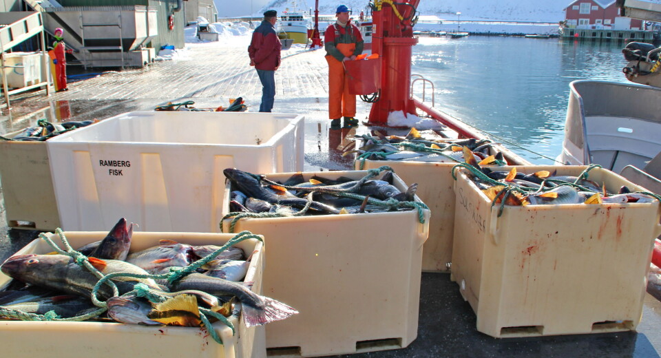 VANNTREKK: Hvor mye fisk og hvor mye vann er det når fisken veies?