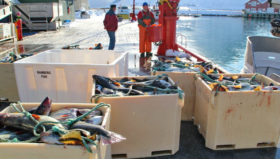 REKORD: Eksportprisen på fryst hel torsk var rekordhøy i oktober, med 57 kroner per kilo. Det er 3 kroner høyere enn forrige rekordmåned, som var i august i år, melder Sjømatrådet.