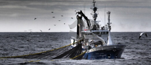 Får fiske 10 000 tonn makrell i færøysk sone fra i dag