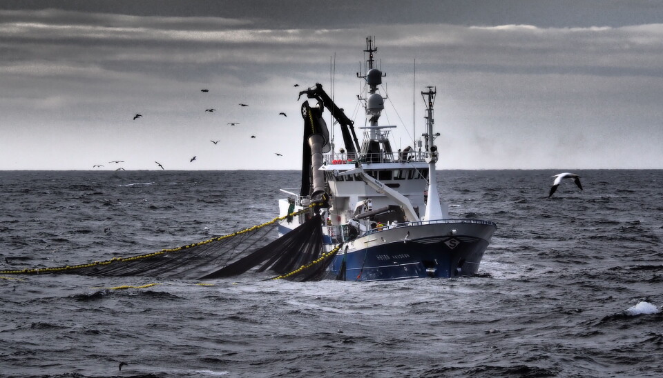 MAKRELL: MS «Havdrøn» på makrellfiske.