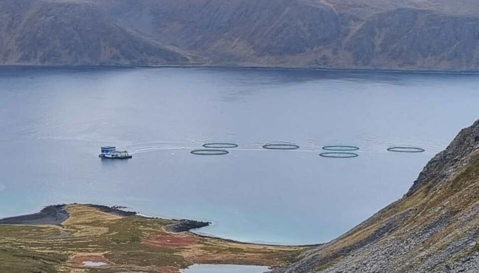 Grieg Seafood Finnmark sin lokalitet Vannfjorden. Grieg Seafood Finnmark sin lokalitet Vannfjorden.