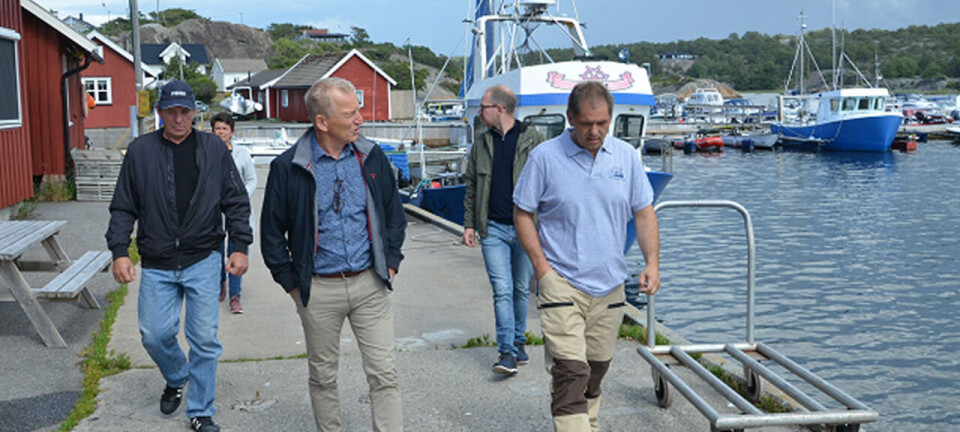 – Frykter konkurser i rekeflåten i sør