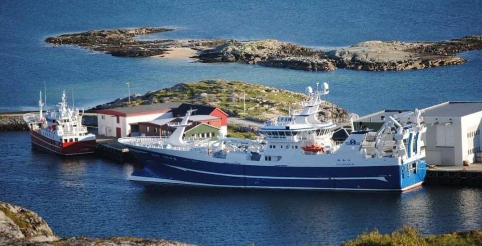 RINGNOT: MS «Rav» fisket i fjor for drøyt 106 millioner kroner.