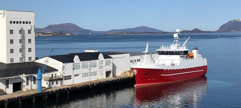 Sunnmøre Fiskeindustri vil øke dybden for å kunne ta imot større fartøy