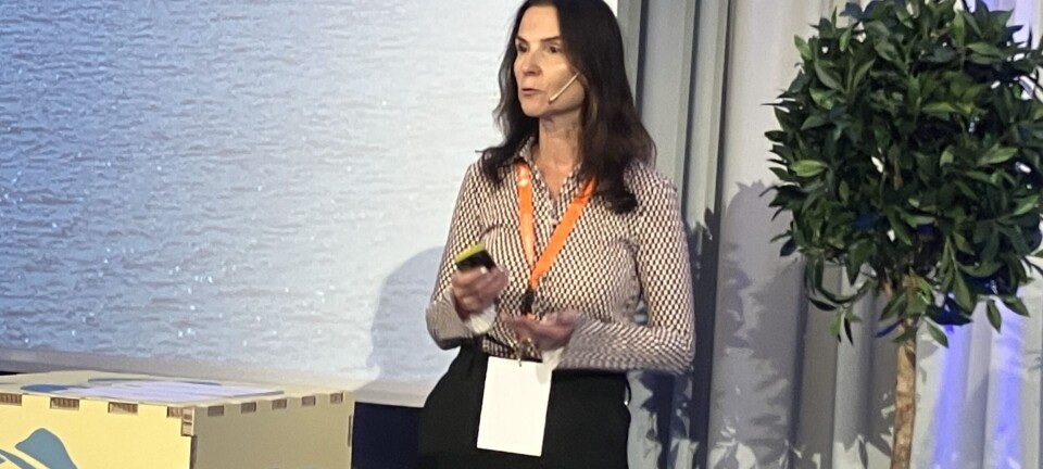 Hun gir seg som konsernsjef: – Lykke til videre, SalMar!