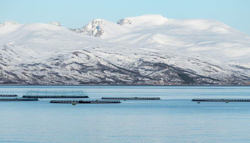 HAVBRUK: Oppdrettsanlegg utenfor Hansnes i Troms. HAVBRUK: Oppdrettsanlegg utenfor Hansnes i Troms.