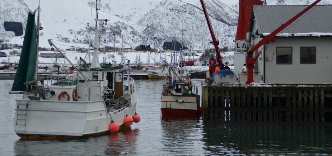 Nordland Fylkes Fiskarlag går inn for sammenslåing