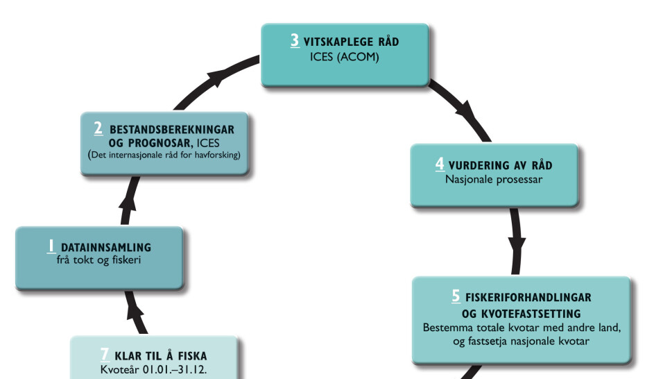 KVOTERÅD: Gangen i kvoterådgivningen. KVOTERÅD: Gangen i kvoterådgivningen.