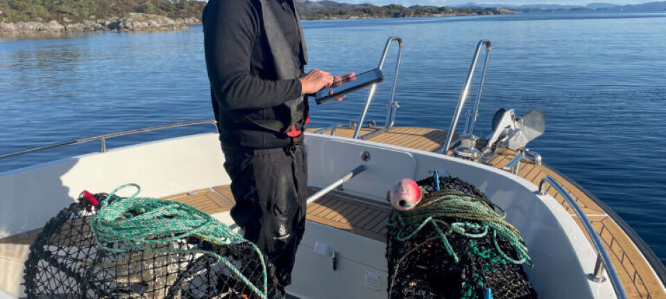 Storaksjon mot ulovlig hummerfiske