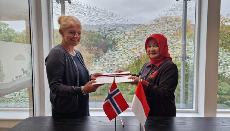 NY AVTALE: Mattilsynet har signert en avtale med indonesiske myndigheter som gjør det enklere å eksportere norsk sjømat til Indonesia. Avtalen ble signert av Dr. Ir. Pamuji Lestari, direktør for Fish Quarantine and Inspection Agency, og Ingunn Midtun Godal, administrerende direktør i Mattilsynet. NY AVTALE: Mattilsynet har signert en avtale med indonesiske myndigheter som gjør det enklere å eksportere norsk sjømat til Indonesia. Avtalen ble signert av Dr. Ir. Pamuji Lestari, direktør for Fish Quarantine and Inspection Agency, og Ingunn Midtun Godal, administrerende direktør i Mattilsynet.