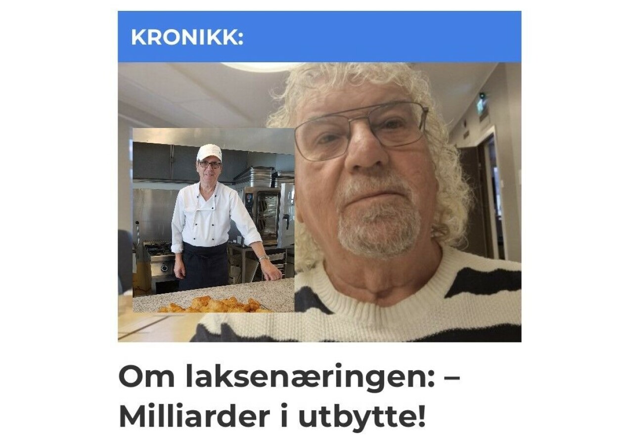 DÅRLIG FORSTÅELSE: – Makan til dårlig forståelse for økonomi og vår samfunnsstruktur som den Edvin M. Eriksen legger for dagen, det er det heldigvis ikke ofte man ser, skriver Steinar Johansen (innfelt) i dette tilsvaret til Eriksens kronikk om grunnrenteskatten.