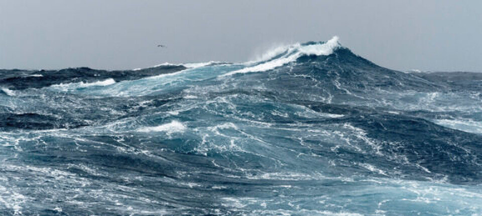 – Nær 30 prosent av de nordøstatlantiske fiskebestandene overbeskattes