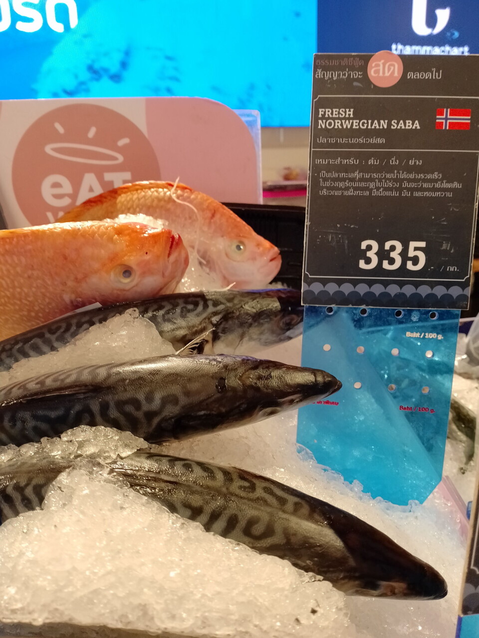 TINT MAKRELL: I det eksklusive supermarkedet Gourmet Market koster tint norsk makrell nesten hundre kroner per kilo. TINT MAKRELL: I det eksklusive supermarkedet Gourmet Market koster tint norsk makrell nesten hundre kroner per kilo.