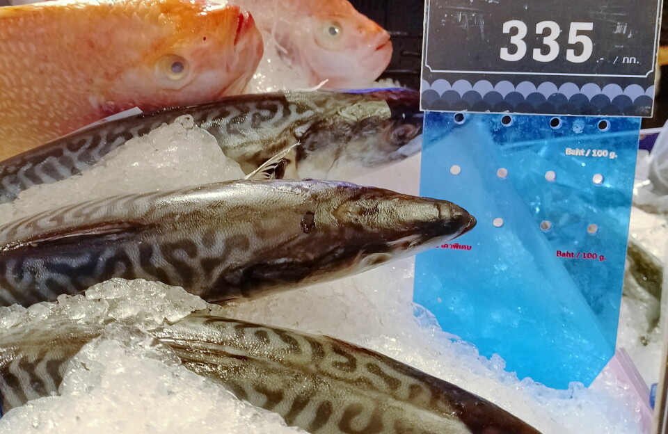 MAKRELL: I noen supermarkeder er norsk makrell eksklusiv fisk.